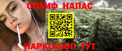 стаф Обь