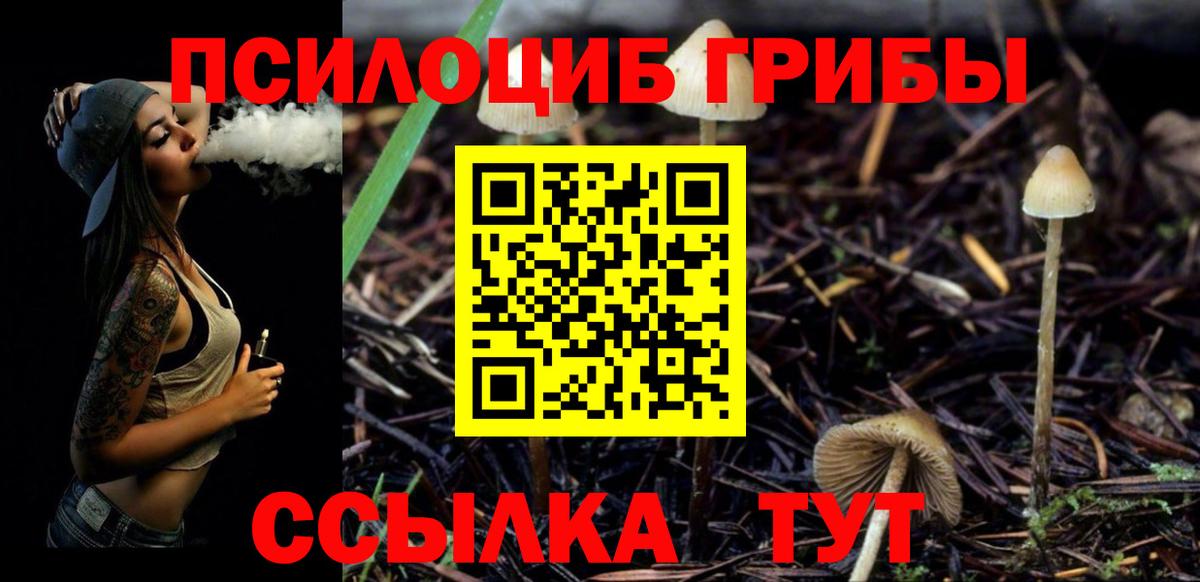 Галлюциногенные грибы мицелий Севастополь