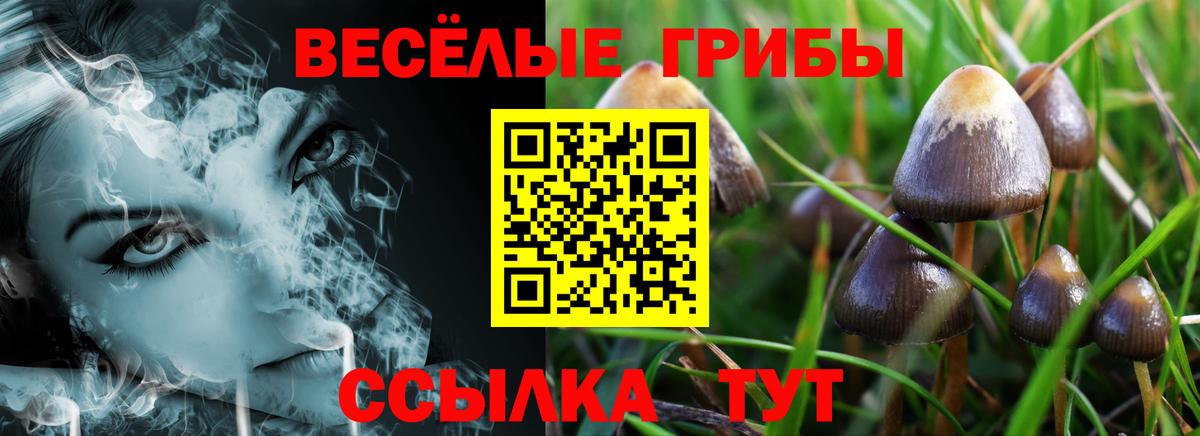 Севастополь  Галлюциногенные грибы Psilocybe  Вход с VPN 